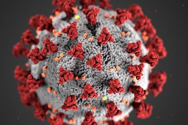 Manhattan COVID-19 News Roundup, Mar. 26, 2020 3 COVID-19 molecule