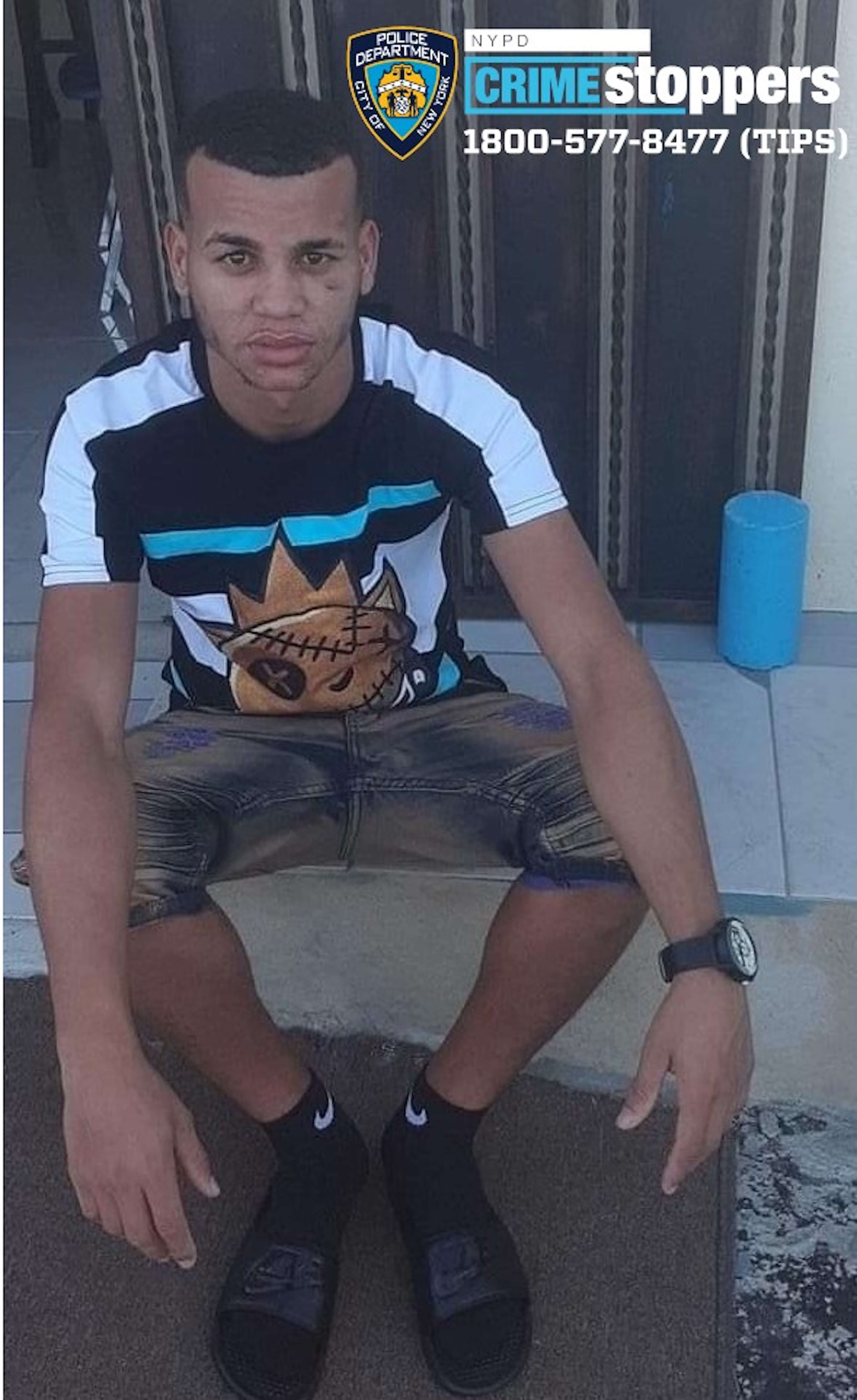 Posse of property pilferers in Bronx sought for street robbery series 2