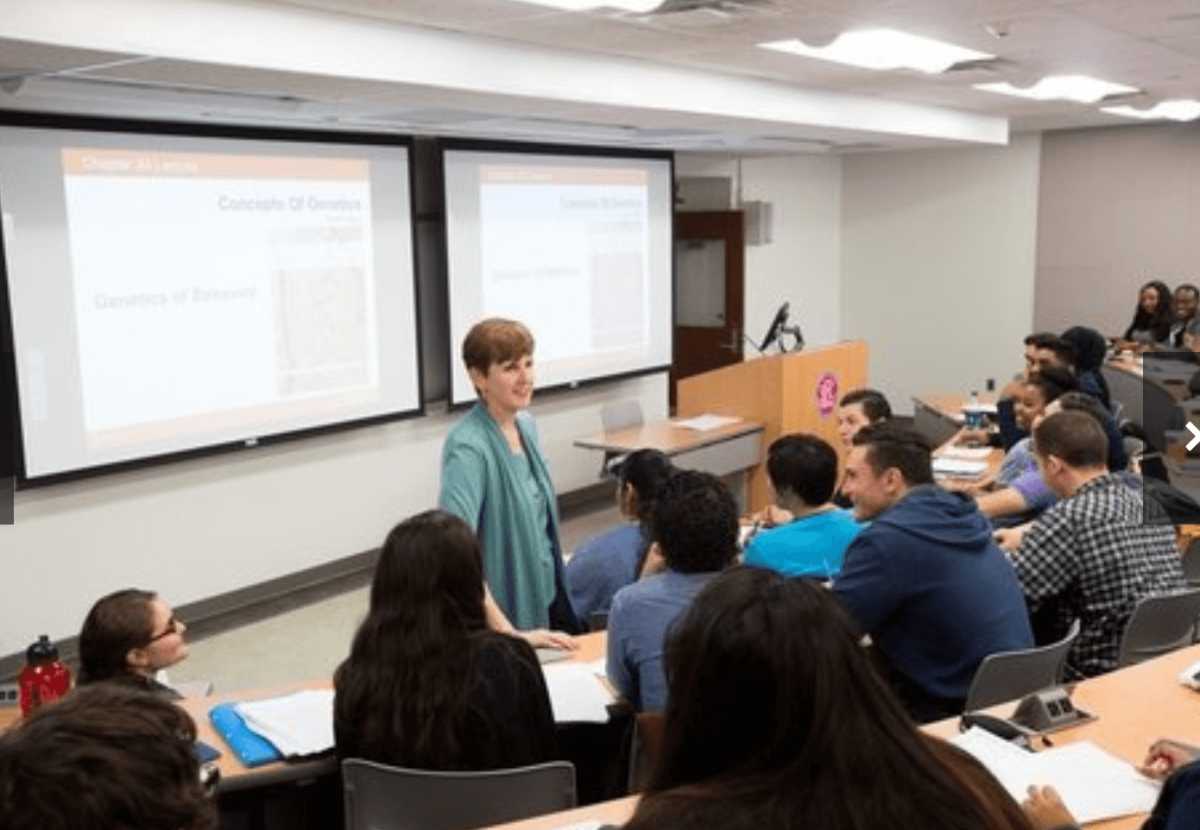 Screen Shot 2021-03-23 at 3.14.28 PM