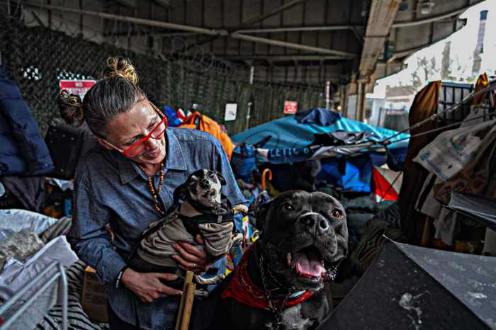 A second chance: FDR homeless couple start GoFundMe amidst eviction threats 4