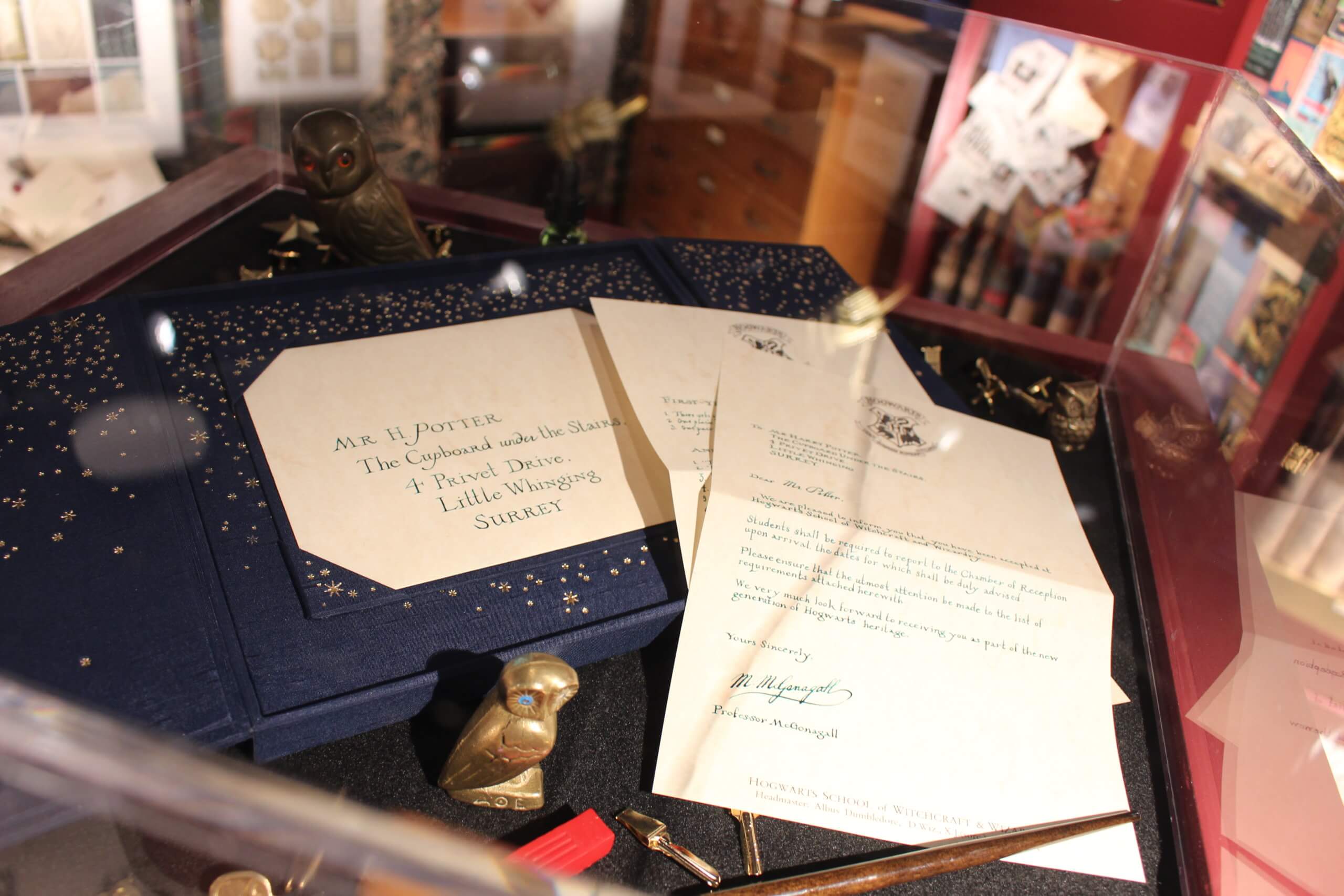 PHOTOS: Take a look inside the Flatiron District's new spell-binding Harry Potter New York store 26