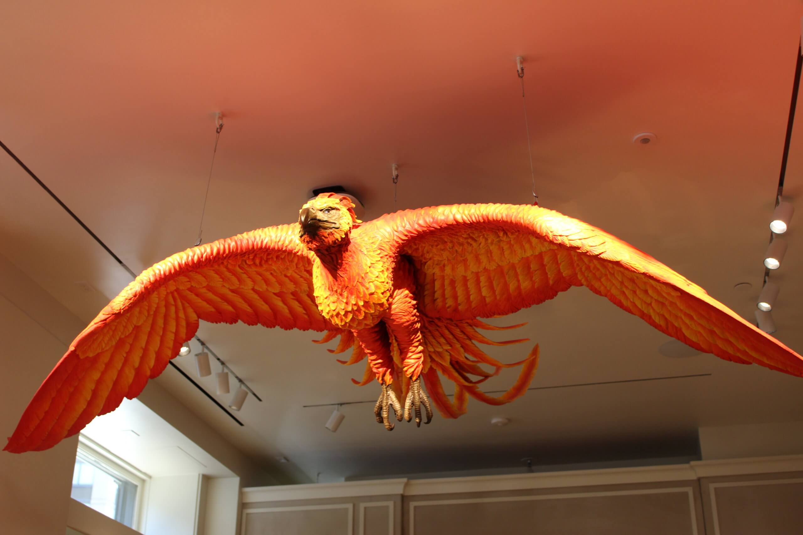 PHOTOS: Take a look inside the Flatiron District's new spell-binding Harry Potter New York store 7