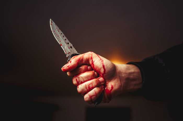 Distraught man booked for allegedly murdering cousin in Bronx apartment 5 Queens parking dispute stabbing