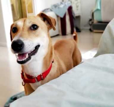 1d9860de7a98b15b4c732bfd90c8341a.jpeg.max900