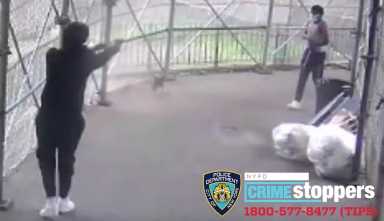 Screen Shot 2021-06-19 at 9.29.27 AM