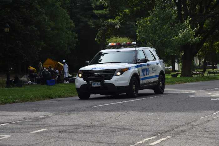 Cyclist in critical condition after striking pedestrian in Prospect Park 5 A police cruiser in Prospect Park