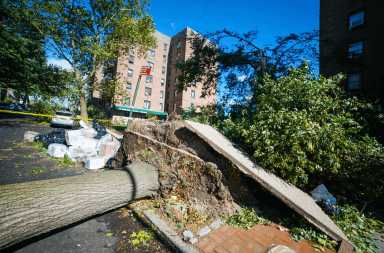 Screen-Shot-2020-08-05-at-12.22.14-PM