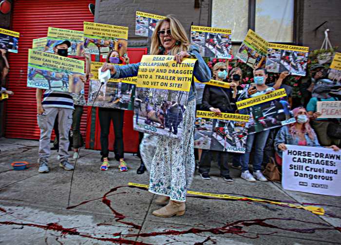 Animal rights advocates raise bloody hell in Midtown over carriage horse collision 19