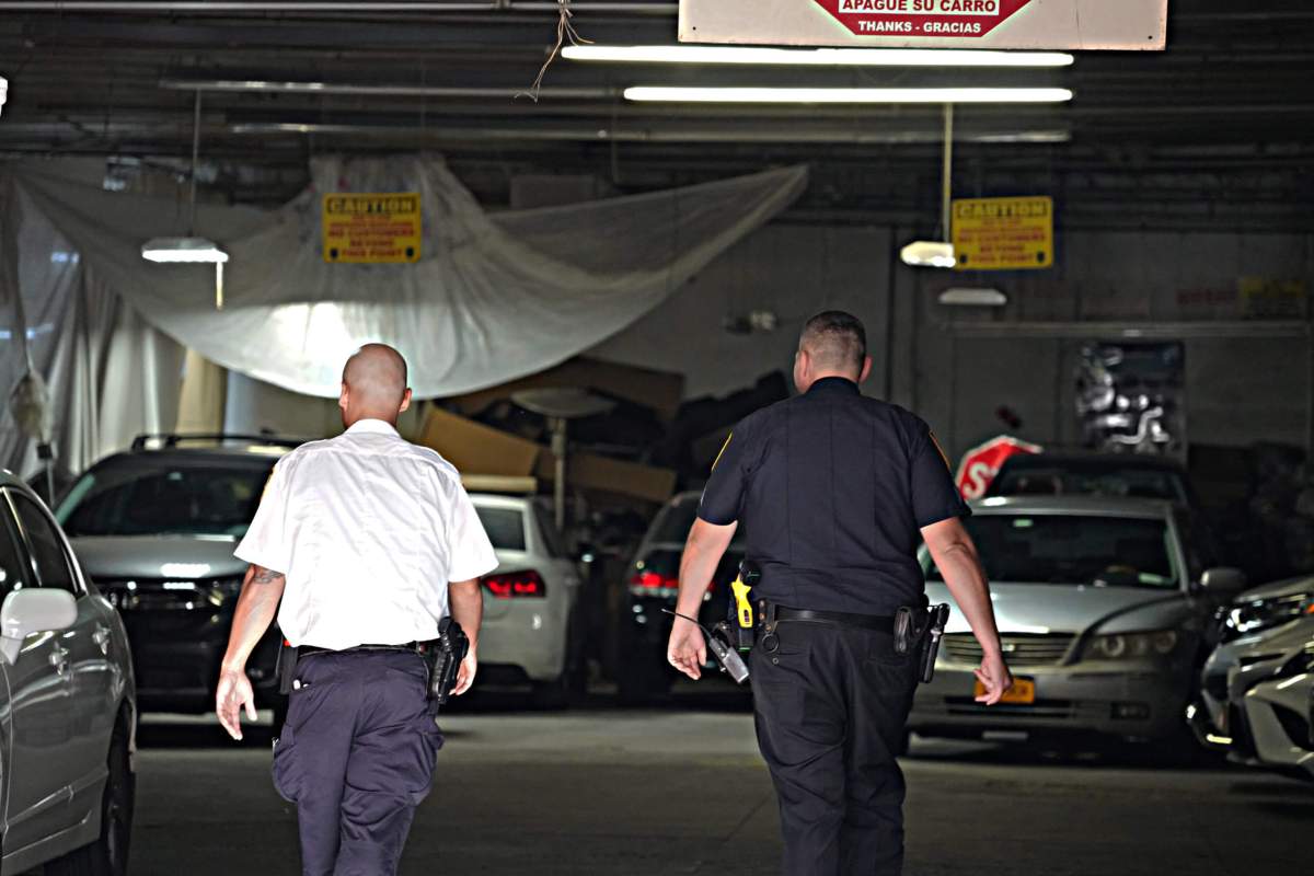 EXCLUSIVE: NYPD slams brakes on big Bronx auto theft ring in early-morning raid 12 NYPD officers