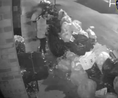 Screen Shot 2021-09-29 at 11.06.17 AM