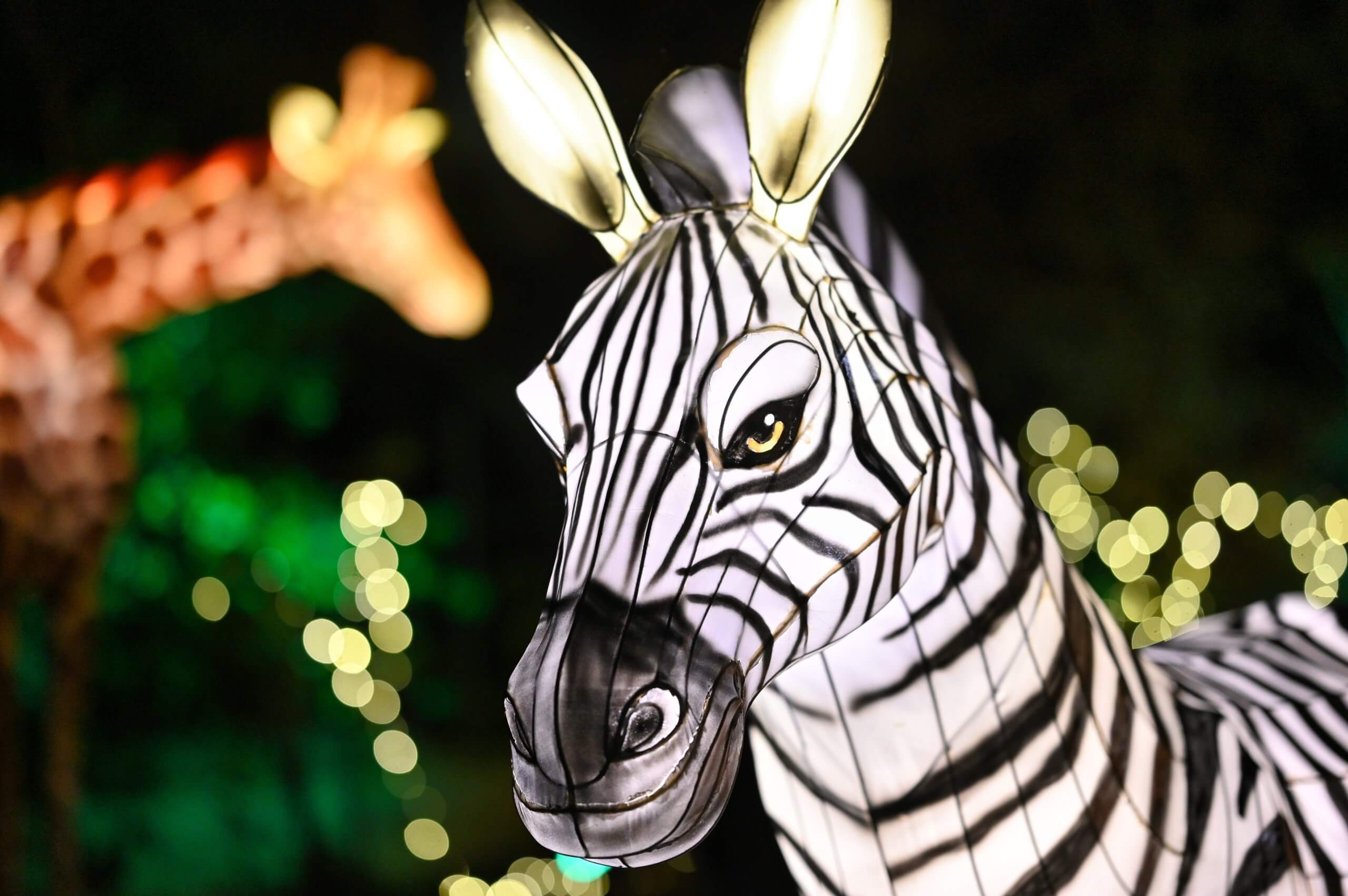 Bronx Zoo Holiday Lights to return for 2021 season 6