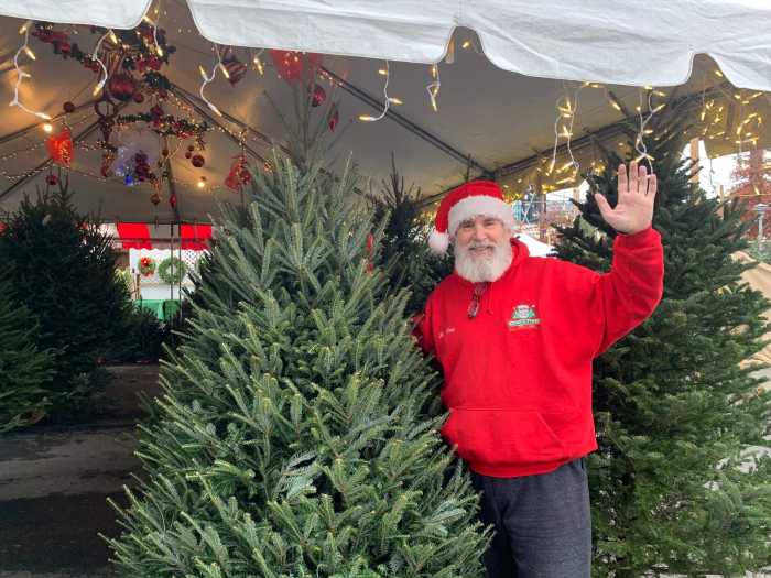 This Queens native runs some of the largest Christmas tree stands in New York City 3