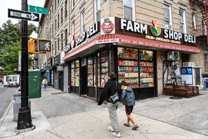 Bodega owners ask NYC for help as grocery delivery apps expand in Five Boroughs 10