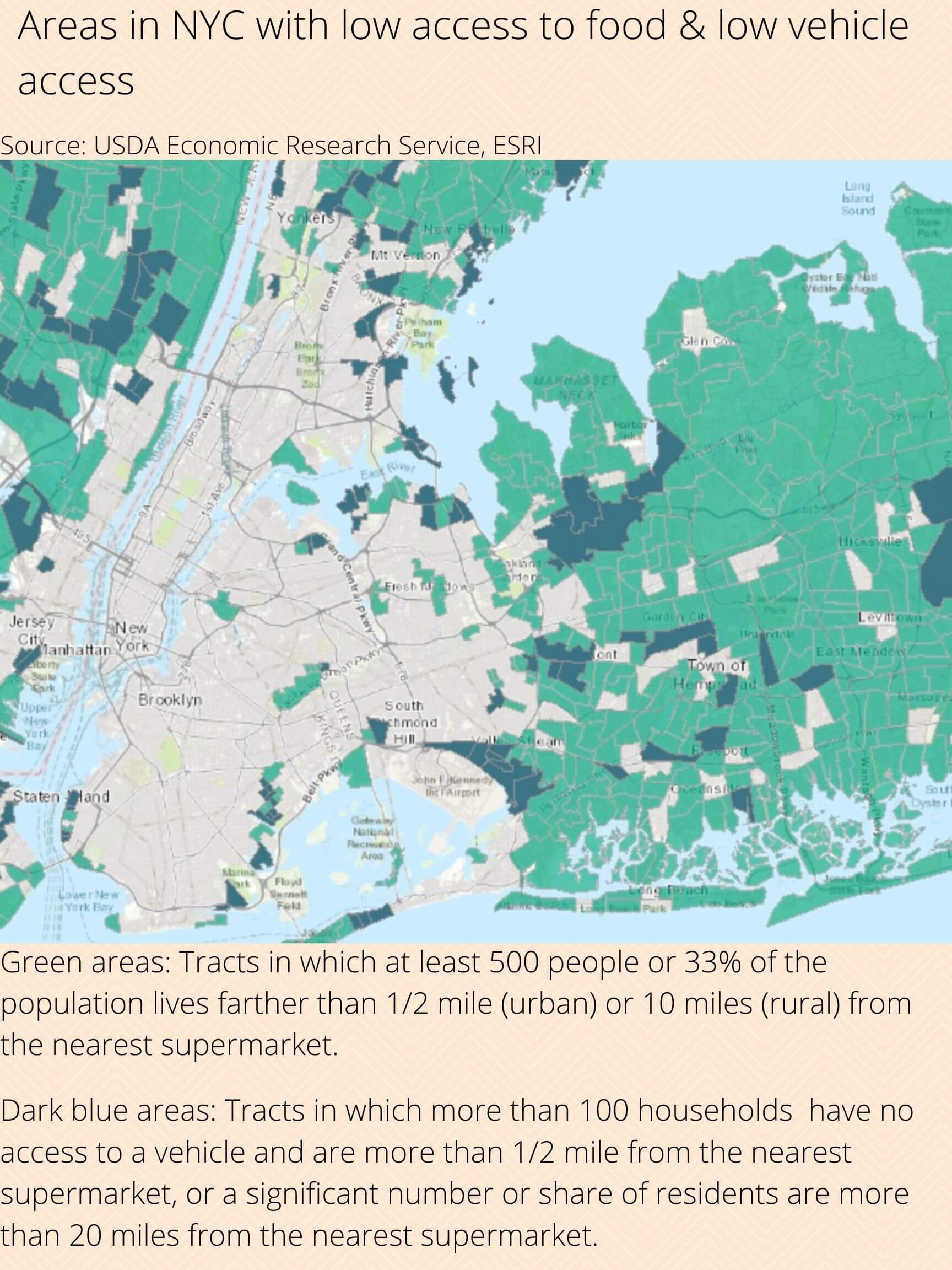 Supermarket struggle: Why are New Yorkers losing their beloved grocery stores? 15