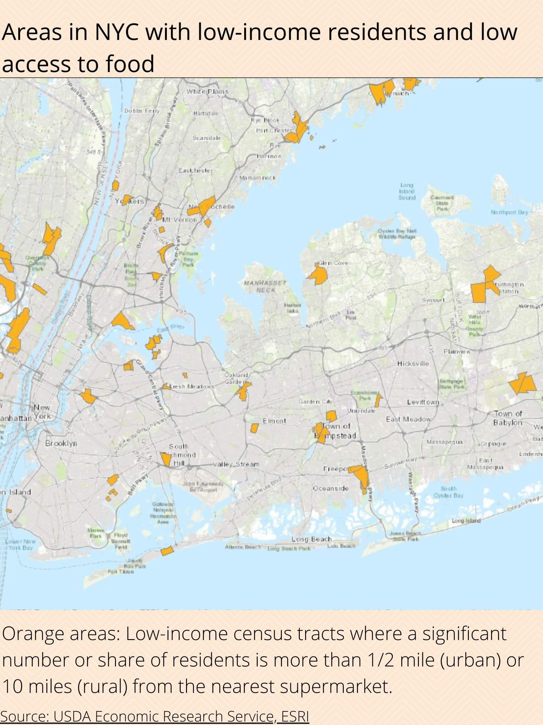 Supermarket struggle: Why are New Yorkers losing their beloved grocery stores? 14
