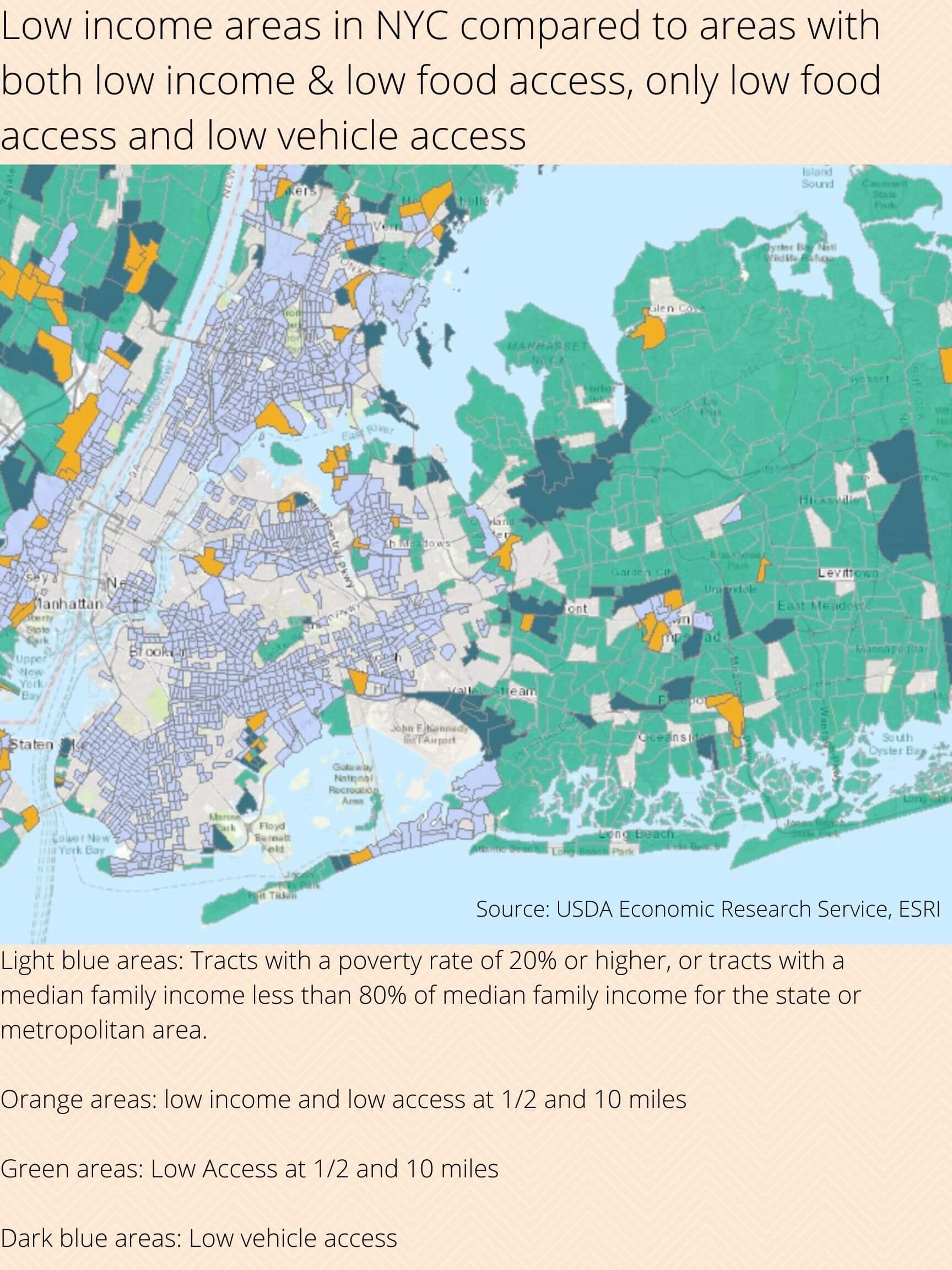 Supermarket struggle: Why are New Yorkers losing their beloved grocery stores? 16