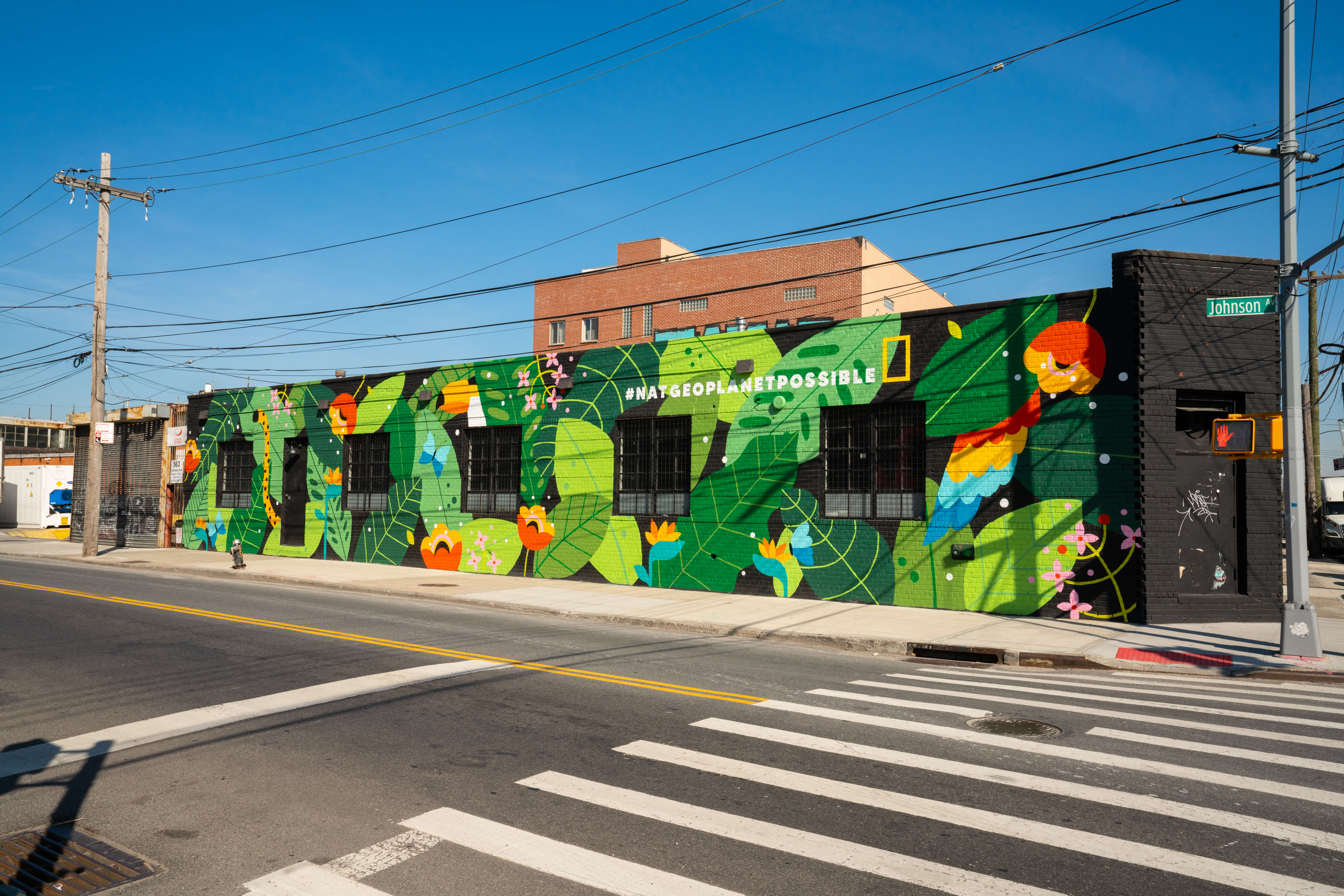 National Geographic partners with local artist for Earth Day mural in Brooklyn 4