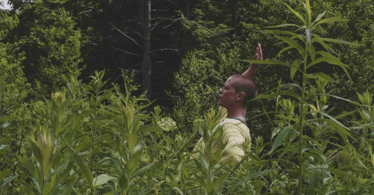 Screen Shot 2022-04-08 at 11.17.38 AM