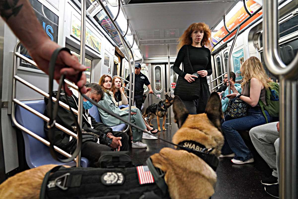 Police checking in Train
