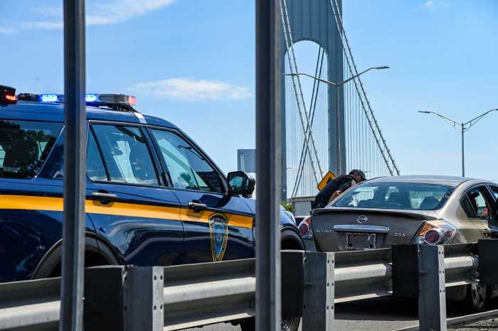 'Plate and Switch': NYC Council investigation finds Bronx has biggest problem with out-of-state license plates and 'ghost cars' 2