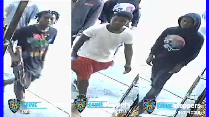 Teen trio sought for robbing man in the Bronx with an Orbeez gun 2
