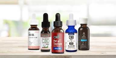 Top 5 CBD Oil for Cats in 2022 - Best CBD for Cats Reviewed & Buyers Guide 40 Catsheader