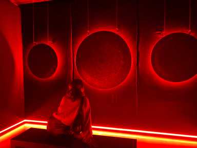 fully immersive multi-sensory art exhibit opens in SoHo