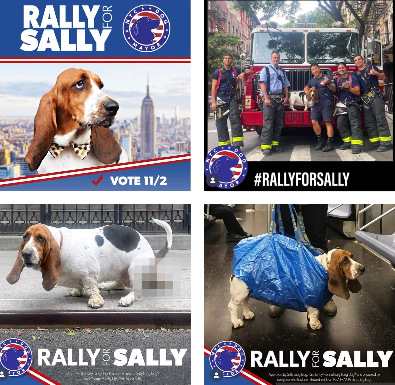 Rally for Sally campaign graphics created by Sally's sidekick, Cassondra Bazelow