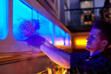 First hotel to have a mushroom farm is located in the East Village, mushroom-themed events planned 4 Standard_03195965