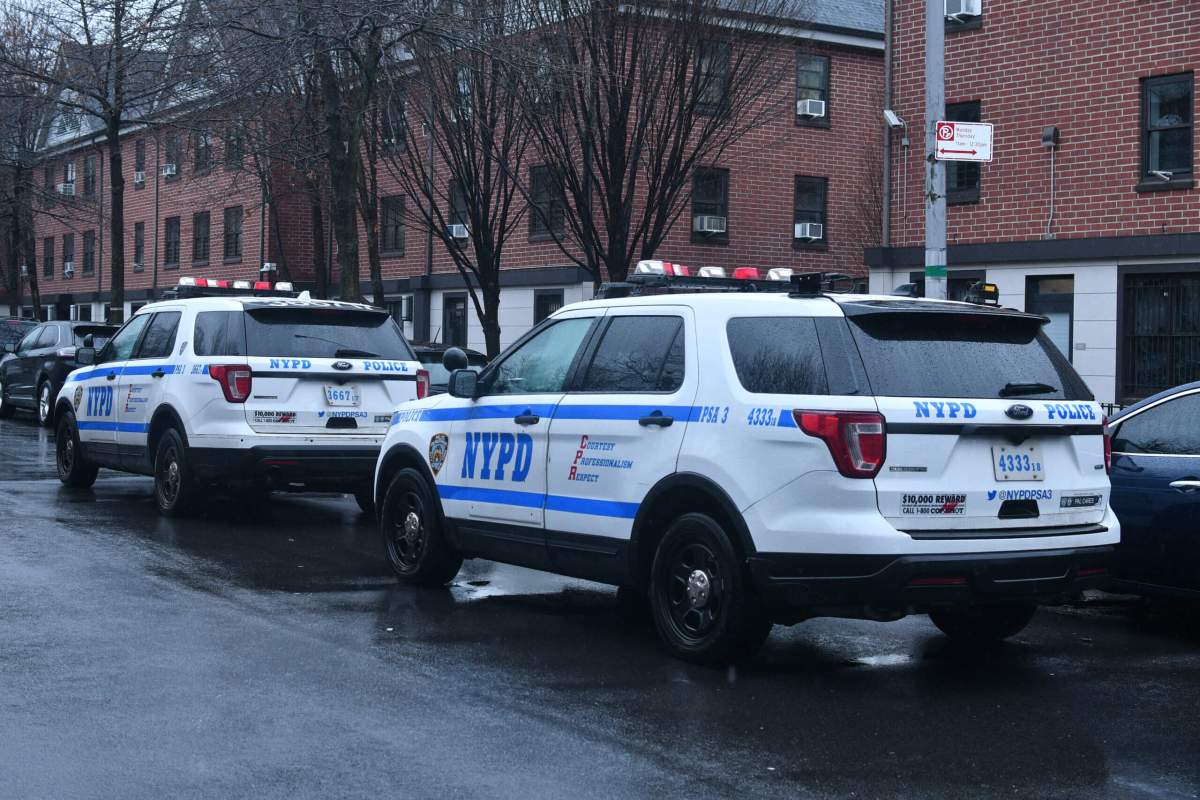 Man in Brooklyn shot dead in hail of bullets at public housing complex: cops 3 Police at the Brooklyn shooting scene