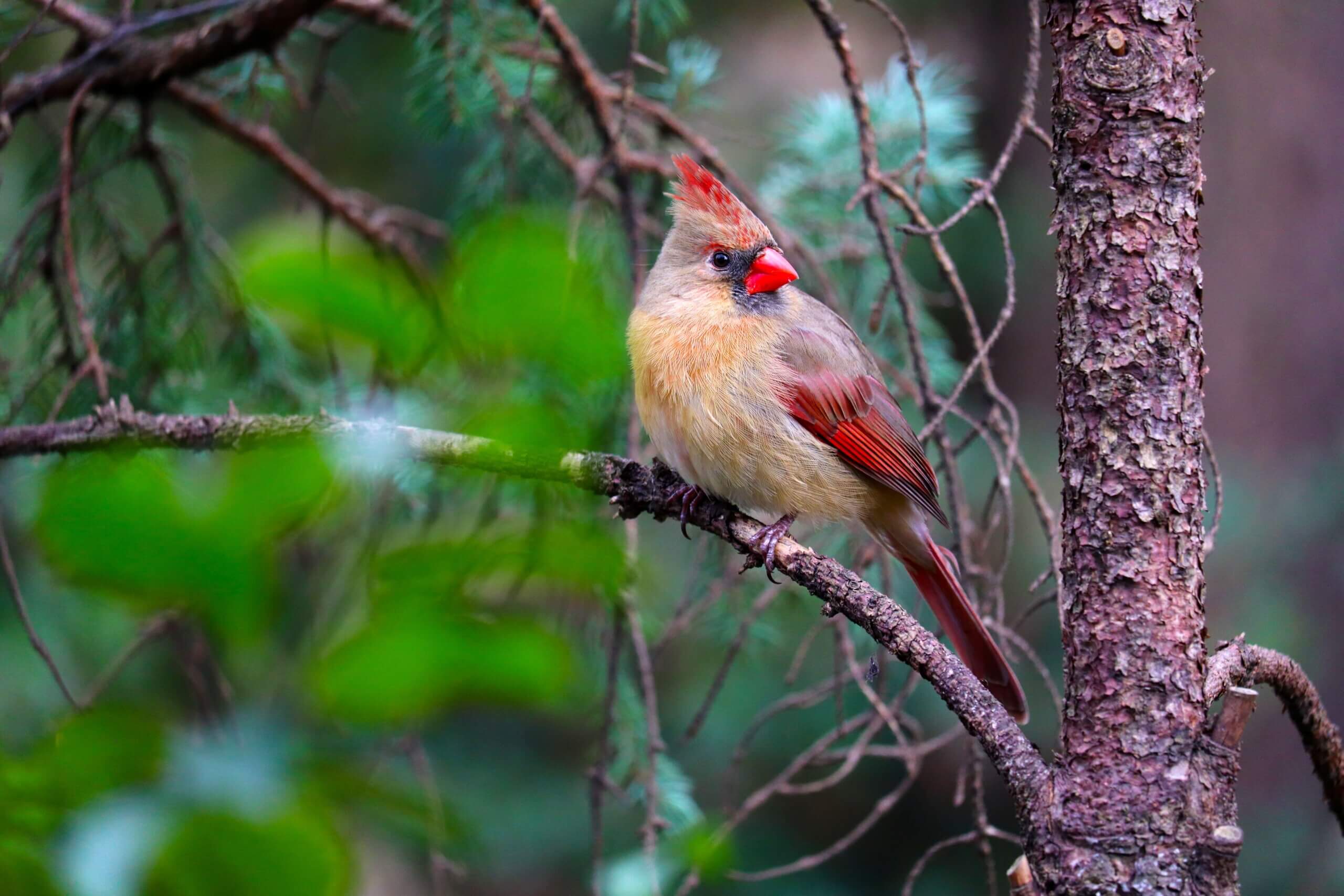 GET THE PICTURE: Disadvantaged focused on photography with mentors 12