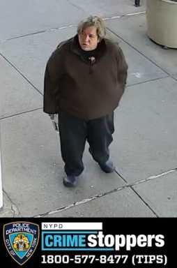 image of the suspect