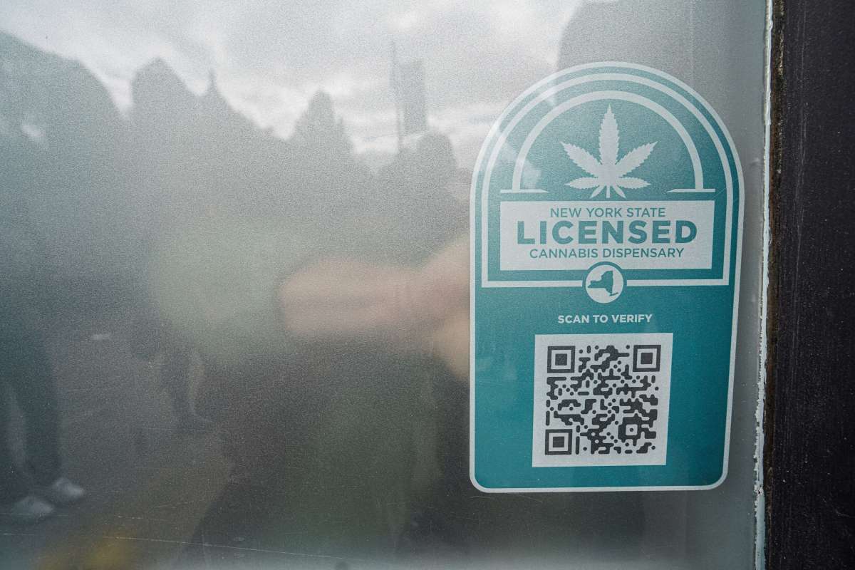 Cannabis 101: Confused by New York's marijuana laws? Here's what you need to know ahead of 4/20 6 Decals on an officially licensed New York State marijuana dispensary