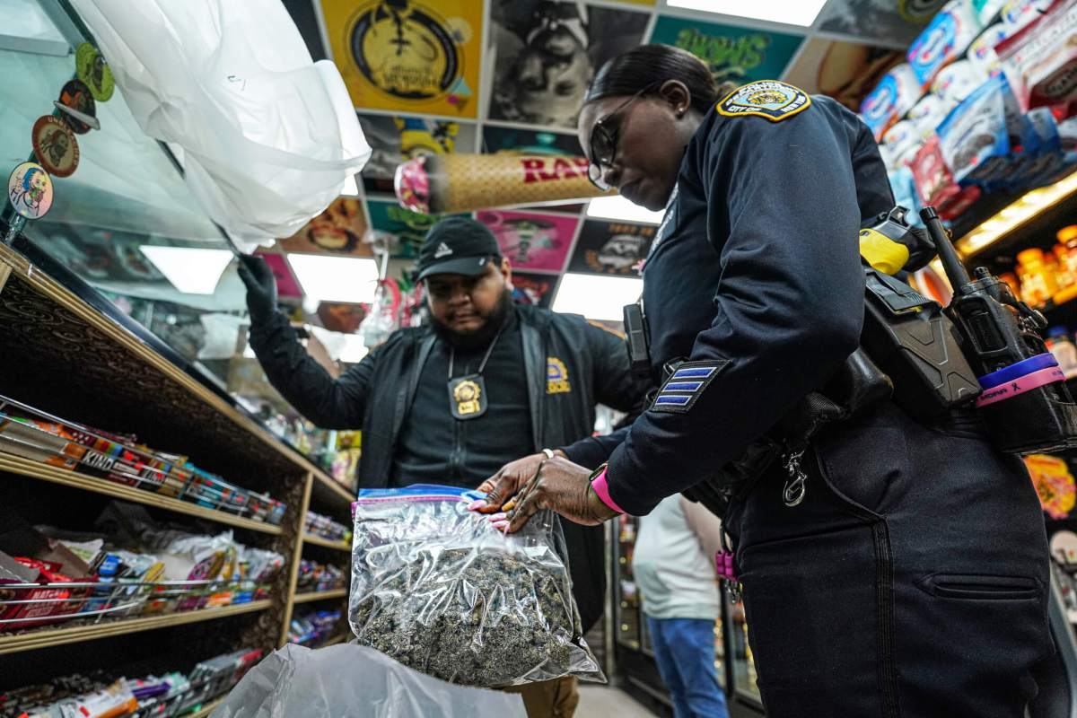 Cannabis 101: Confused by New York's marijuana laws? Here's what you need to know ahead of 4/20 5 Bags of cannabis and mushrooms seized during a recent raid
