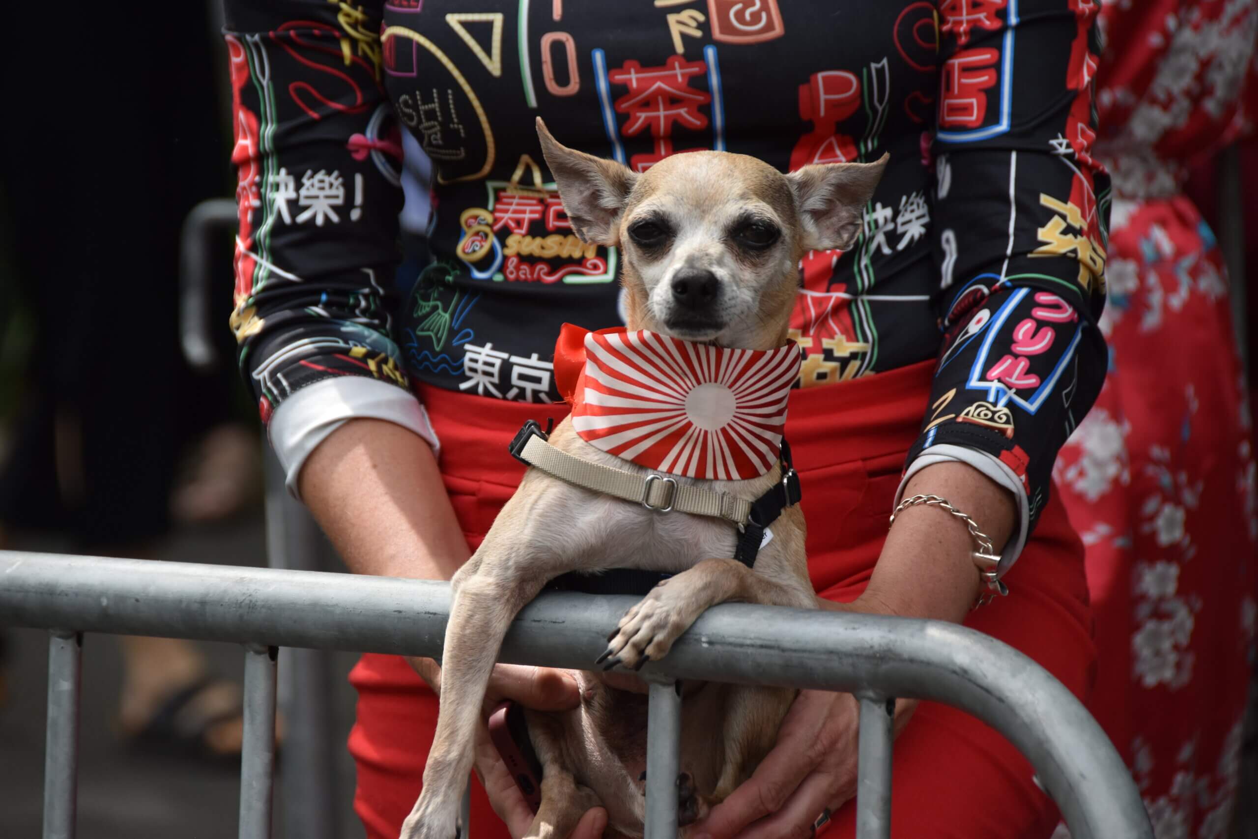 Arigato, New York: 2nd Annual Japan Parade returns to the Upper West Side 41 Grand Marshal Kristi Yamaguchi
