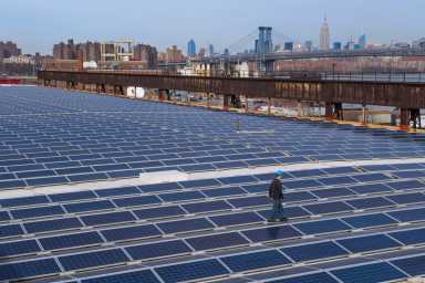 Con Edison Initiatives Lead the Way in New York’s Transition to Clean Energy 16 man walking on a field of solar panels