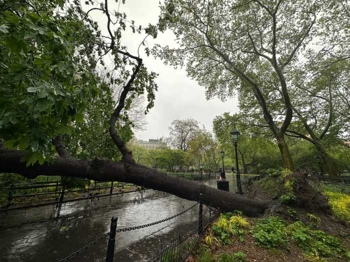 Seemingly never-ending storm brings torrential rain, flooding to parts of Big Apple 1 A massive tree came down at Washington Square Park Sunday afternoon.