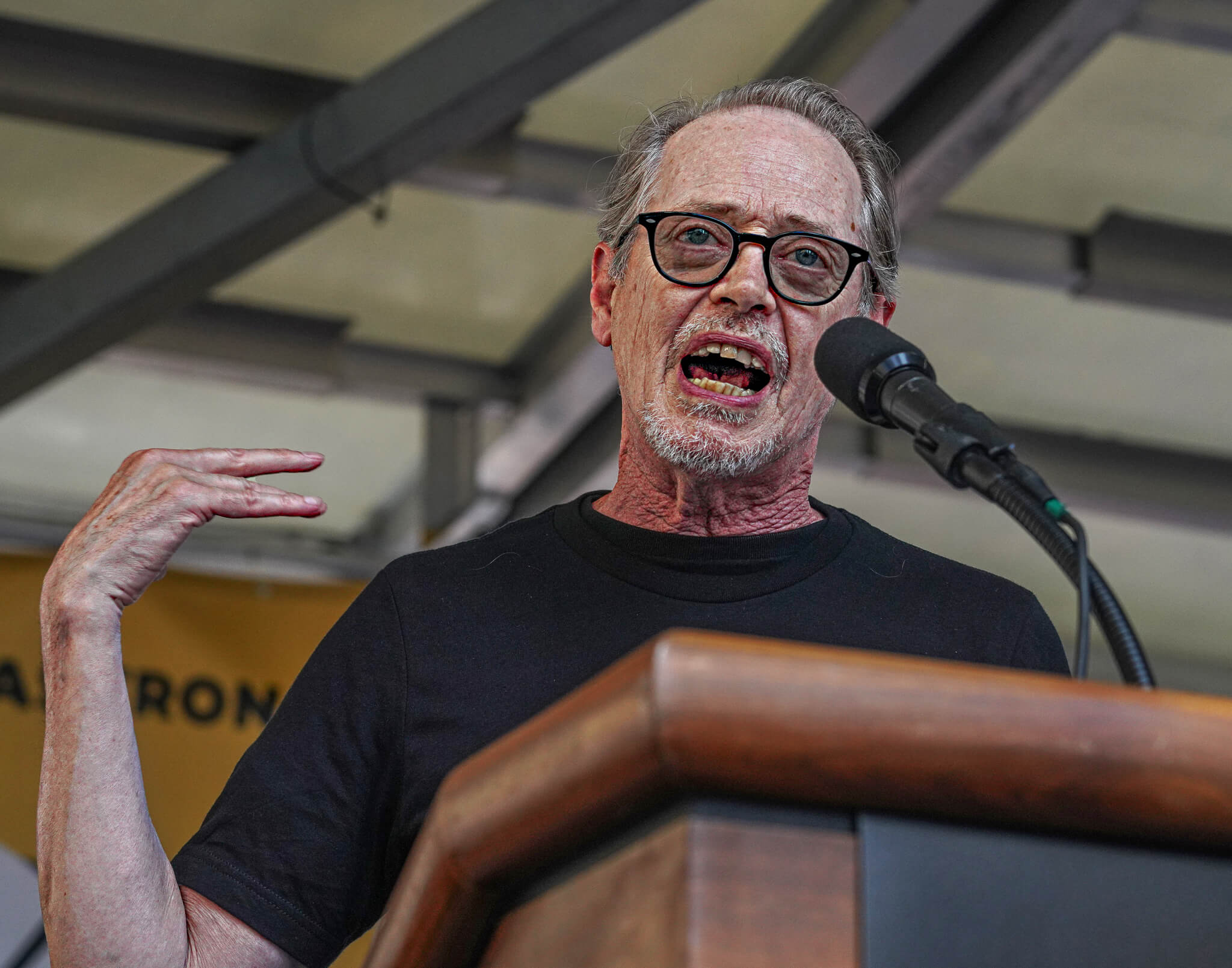 ‘The eyes of the world are upon us:’ Hollywood actors join massive Times Square picket amid SAG-AFTRA strike 13 Steve Buscemi
