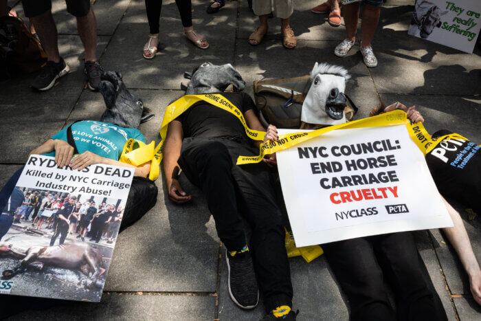 Animal rights activists stage a die-in at a rally