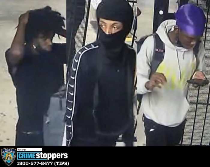 Three armed men rob Forest Hills street vendor at gunpoint: NYPD 6