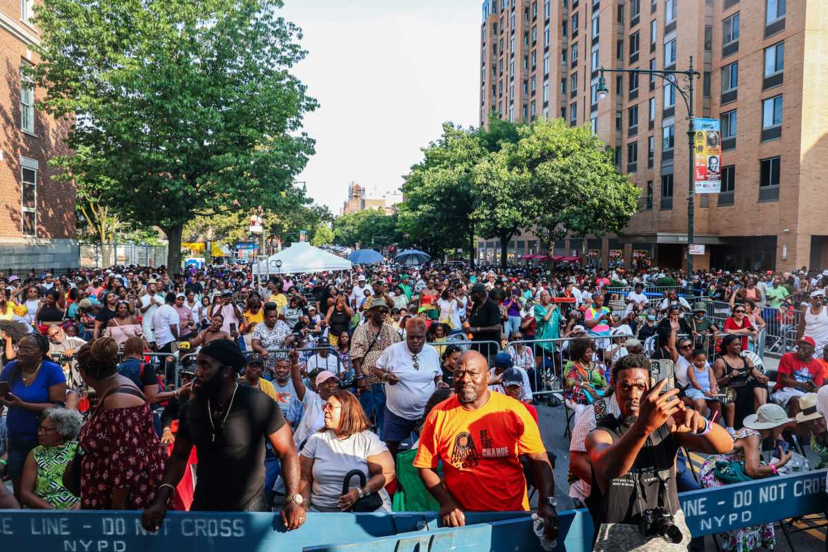 The crowds at Harlem Week.