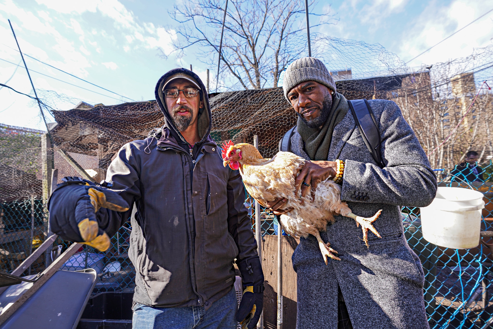 Good works for MLK Day Weekend: Brooklyn migrants, volunteers give back at greenspace 18 Public Advocate Jumaane Williams holds a chicken
