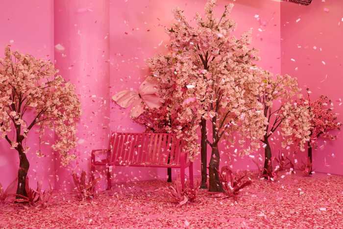 Color Factory ushering in early spring with new exhibit 'Colors In Bloom' 7 color factory colors in bloom