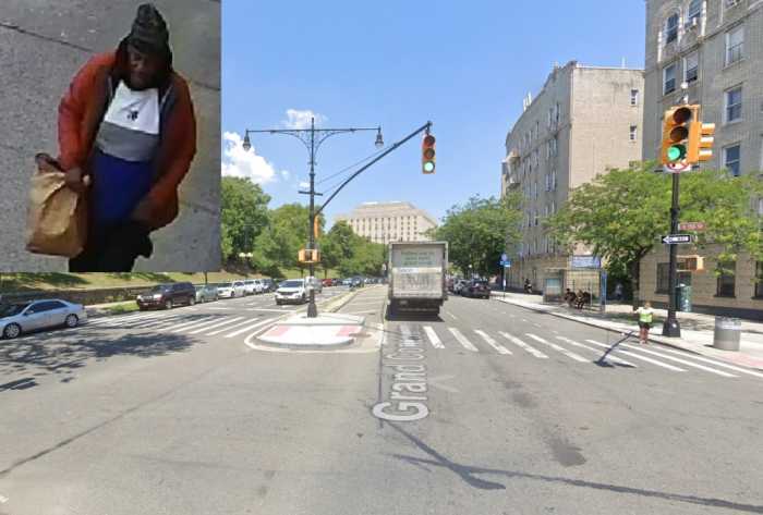 Bigoted brute in the Bronx beats up man while making anti-white comments: cops 2 Inset of hate crime suspect in front of Bronx intersection