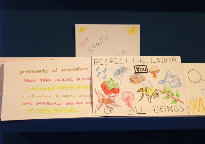 Earth Day: 'Coal + Ice' at the Asia Society begs visitors to help address the climate change crisis 10