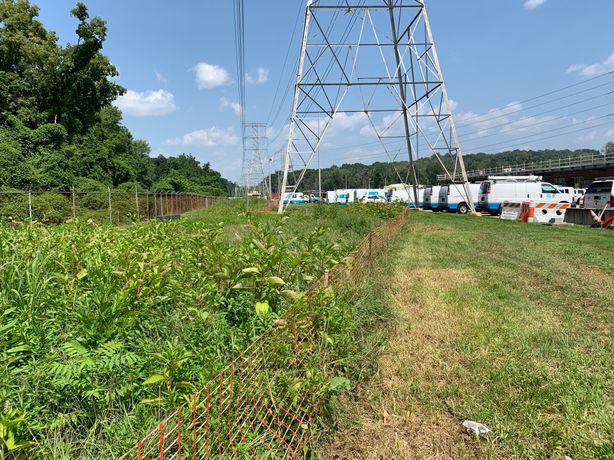 At Con Edison, Earth Week Means Biodiversity Benefits for All 6 con edison earth day