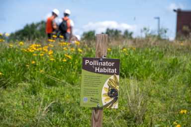 At Con Edison, Earth Week Means Biodiversity Benefits for All 39 con edison earth day