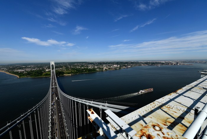 Three peregrine falcon chicks hatch atop Verrazzano-Narrows Bridge 10