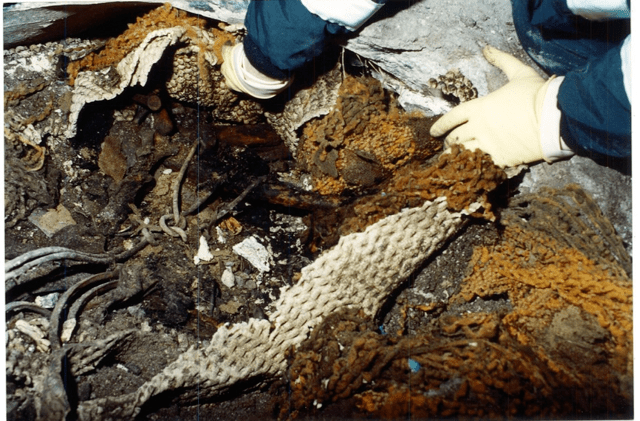 One of New York's biggest cold cases is a step closer to being solved – thanks to dogged detective work, and DNA from a 9/11 victim 9