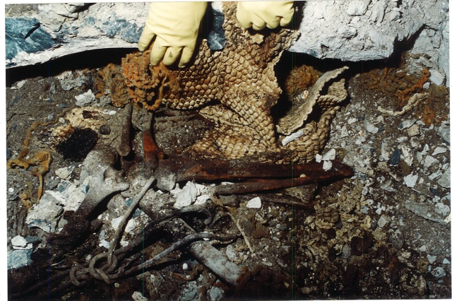 One of New York's biggest cold cases is a step closer to being solved – thanks to dogged detective work, and DNA from a 9/11 victim 11